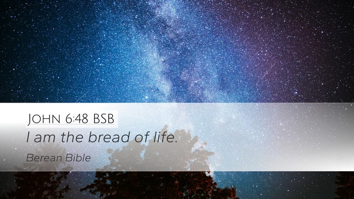 John 6:48 BSB Bible Verse Image