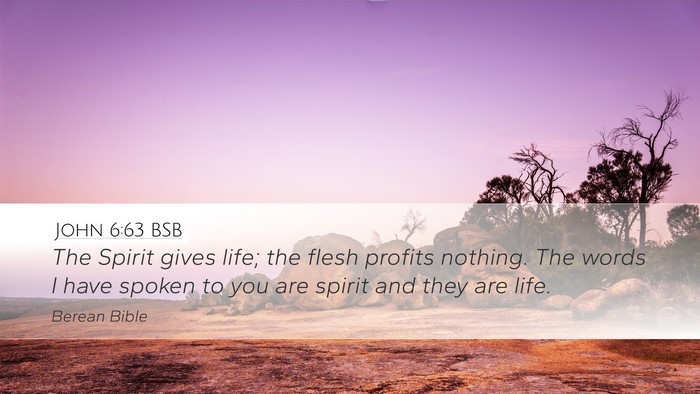 John 6:63 BSB Bible Verse Image