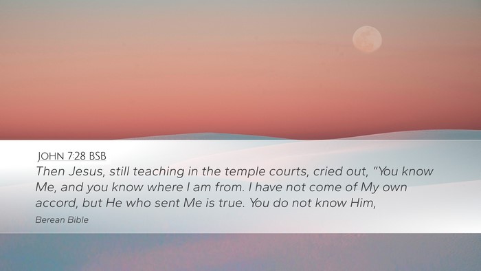 John 7:28 BSB Bible Verse Image