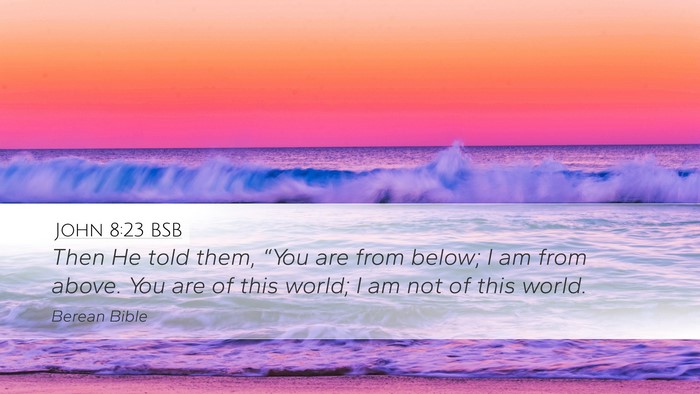 John 8:23 BSB Bible Verse Image