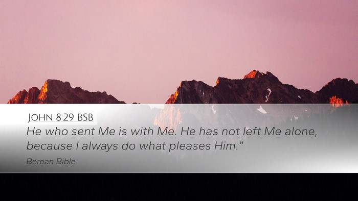 John 8:29 BSB Bible Verse Image
