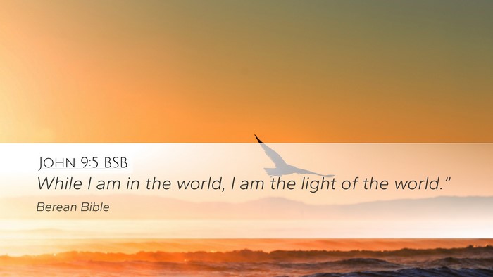 John 9:5 BSB Bible Verse Image