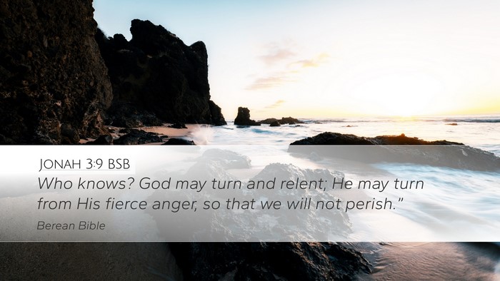 Jonah 3:9 BSB Bible Verse Image