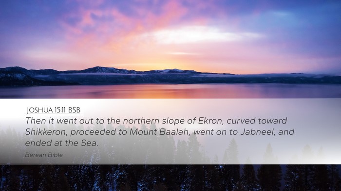 Joshua 15:11 BSB Desktop Wallpaper - Then it went out to the northern slope of Ekron, - Desktop Bible Verse Wallpaper