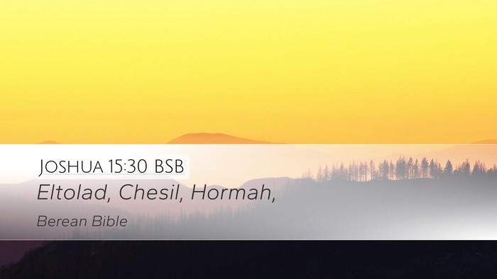 Joshua 15:30 BSB Bible Verse Image