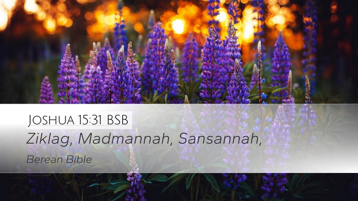 Joshua 15:31 BSB Desktop Wallpaper - Ziklag, Madmannah, - Desktop Bible Verse Wallpaper