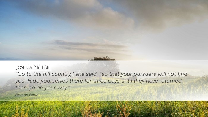 Joshua 2:16 BSB Bible Verse Image