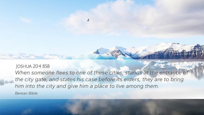 Joshua 20:4 BSB Bible Verse Image