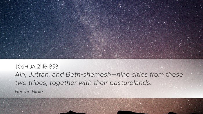 Joshua 21:16 BSB Bible Verse Image