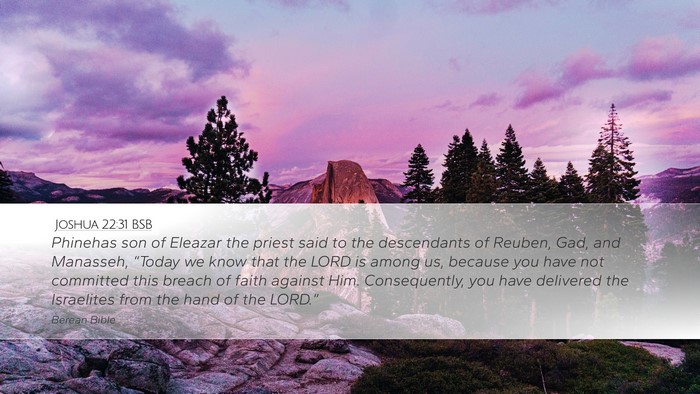 Joshua 22:31 BSB Desktop Wallpaper - Phinehas son of Eleazar the priest said to the - Desktop Bible Verse Wallpaper