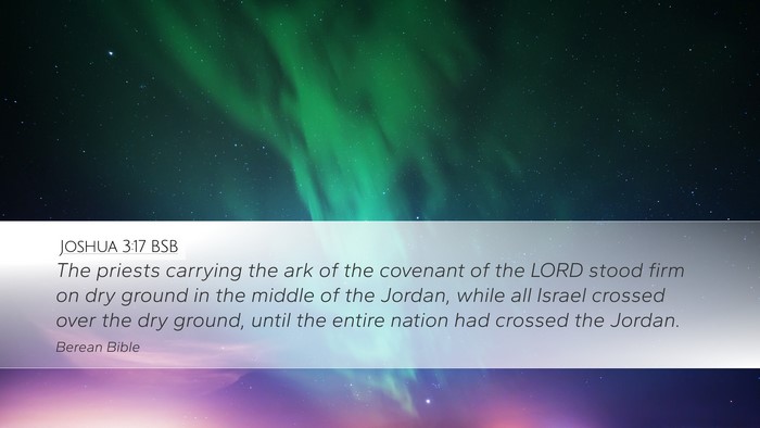 Joshua 3:17 BSB Bible Verse Image