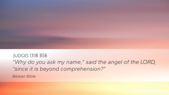 Judges 13:18 BSB Bible Verse Image