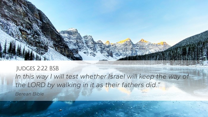 Judges 2:22 BSB Bible Verse Image