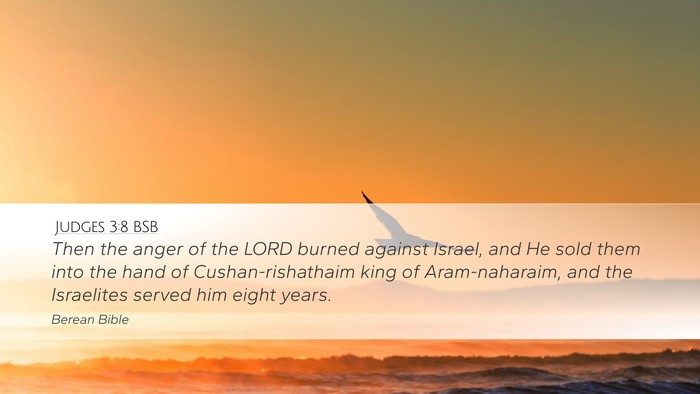 Judges 3:8 BSB Bible Verse Image