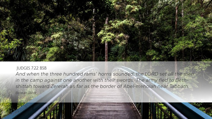 Judges 7:22 BSB Bible Verse Image