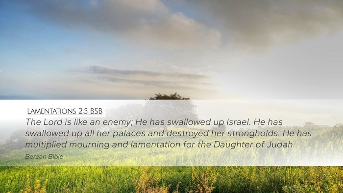 Lamentations 2:5 BSB Bible Verse Image