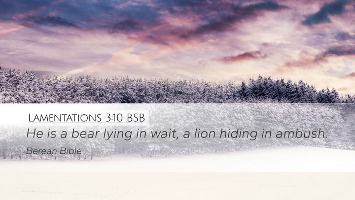 Lamentations 3:10 BSB Bible Verse Image