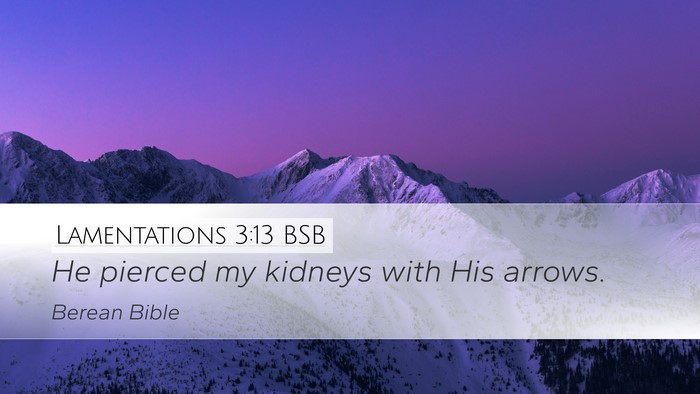 Lamentations 3:13 BSB Desktop Wallpaper - He pierced my kidneys with His - Desktop Bible Verse Wallpaper