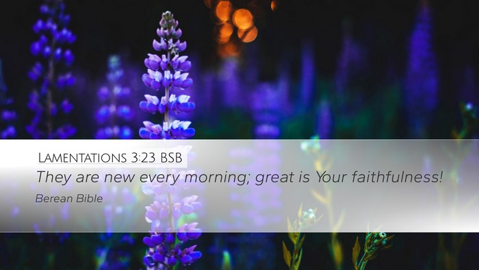 Lamentations 3:23 BSB Bible Verse Image