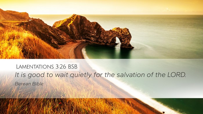 Lamentations 3:26 BSB Bible Verse Image