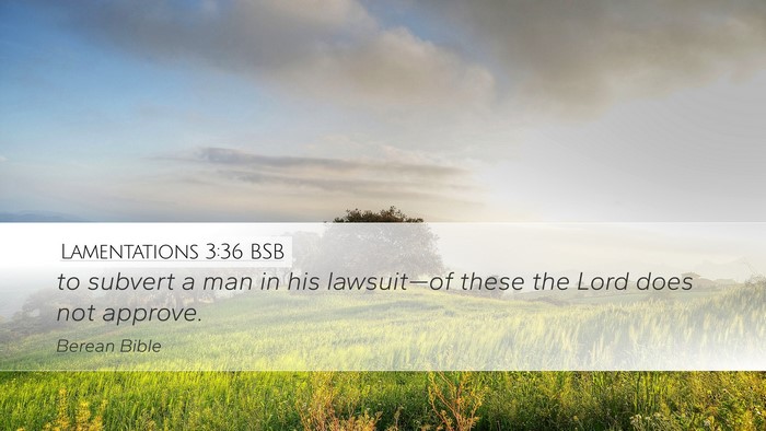 Lamentations 3:36 BSB Desktop Wallpaper - to subvert a man in his lawsuit—of these the - Desktop Bible Verse Wallpaper