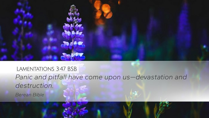 Lamentations 3:47 BSB Bible Verse Image