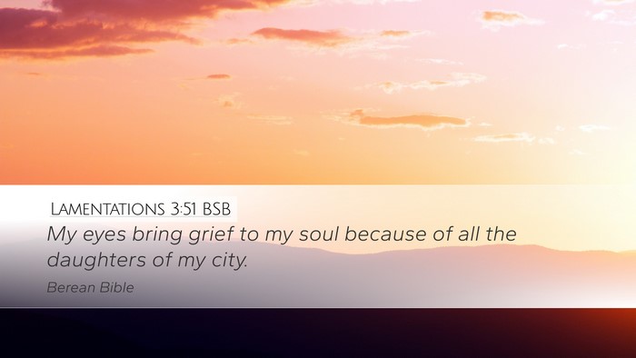 Lamentations 3:51 BSB Bible Verse Image