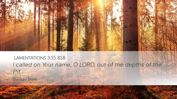 Lamentations 3:55 BSB Bible Verse Image