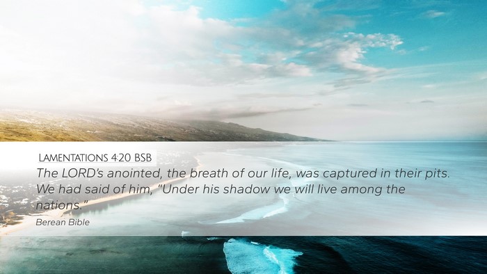 Lamentations 4:20 BSB Bible Verse Image