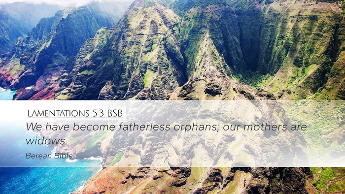 Lamentations 5:3 BSB Bible Verse Image