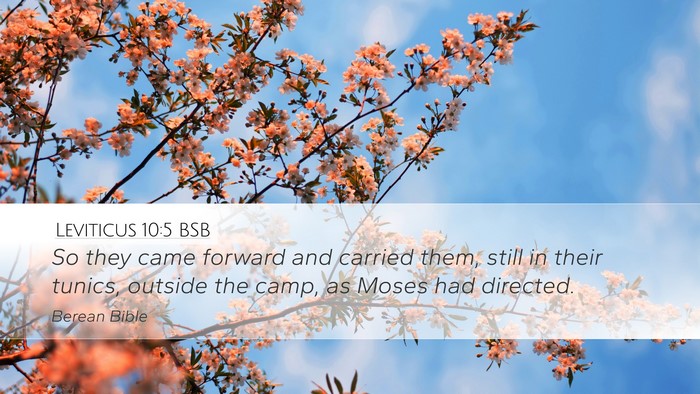 Leviticus 10:5 BSB Bible Verse Image