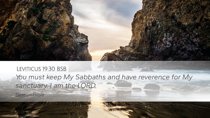 Leviticus 19:30 BSB Bible Verse Image