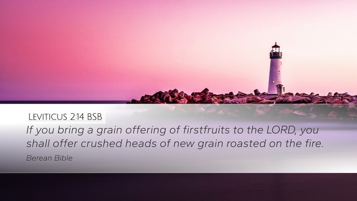 Leviticus 2:14 BSB Bible Verse Image