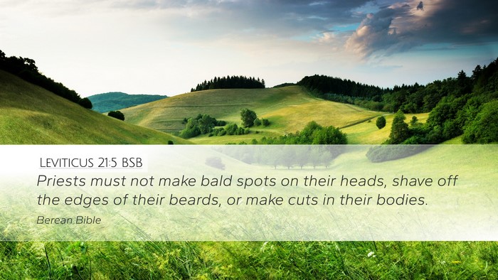 Leviticus 21:5 BSB Bible Verse Image