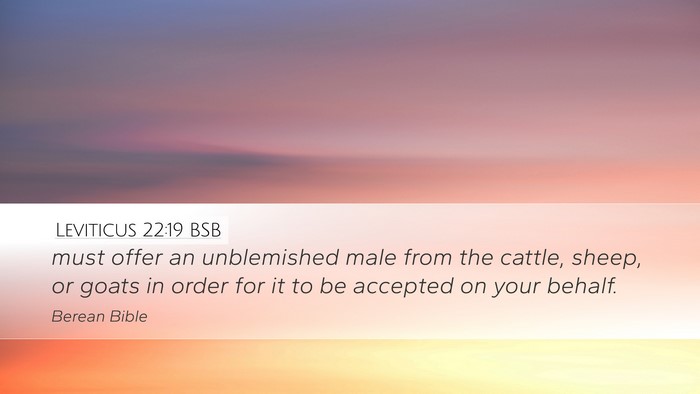 Leviticus 22:19 BSB Bible Verse Image