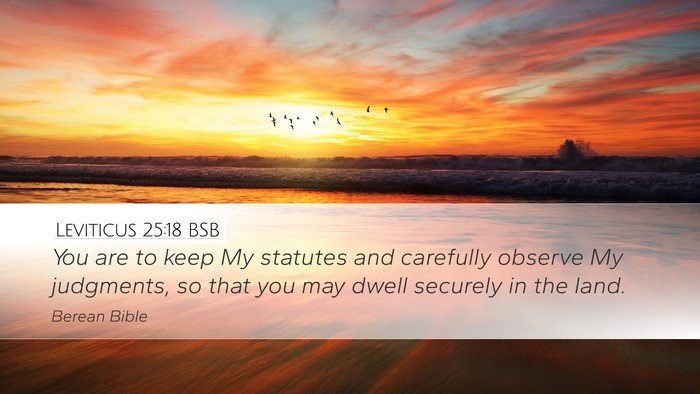 Leviticus 25:18 BSB Bible Verse Image
