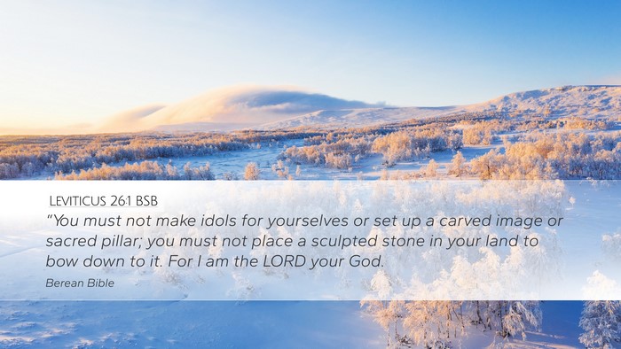 Leviticus 26:1 BSB Bible Verse Image