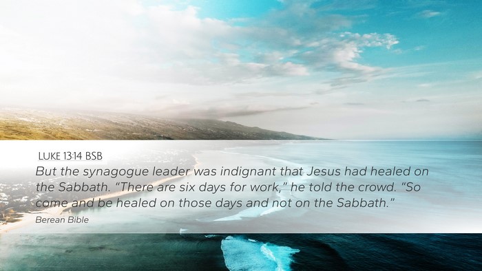 Luke 13:14 BSB Bible Verse Image