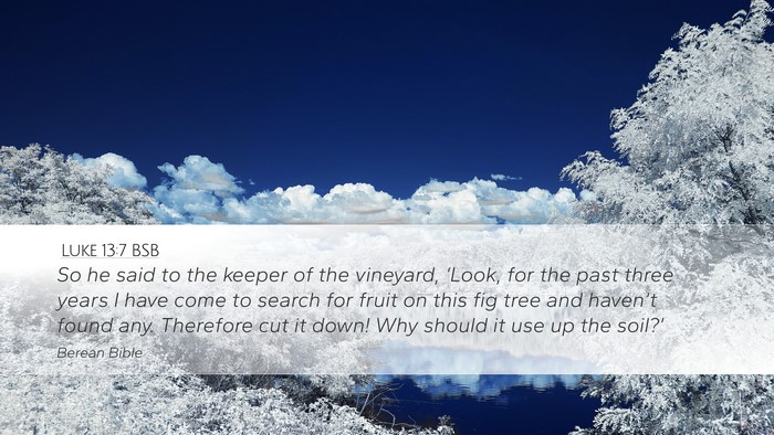 Luke 13:7 BSB Bible Verse Image