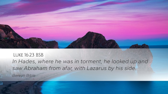 Luke 16:23 BSB Bible Verse Image