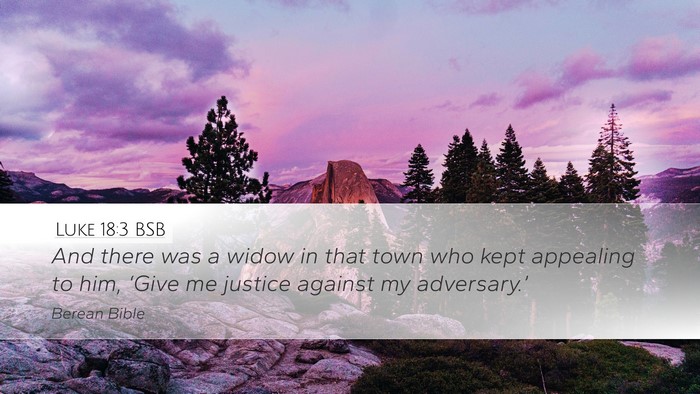 Luke 18:3 BSB Bible Verse Image