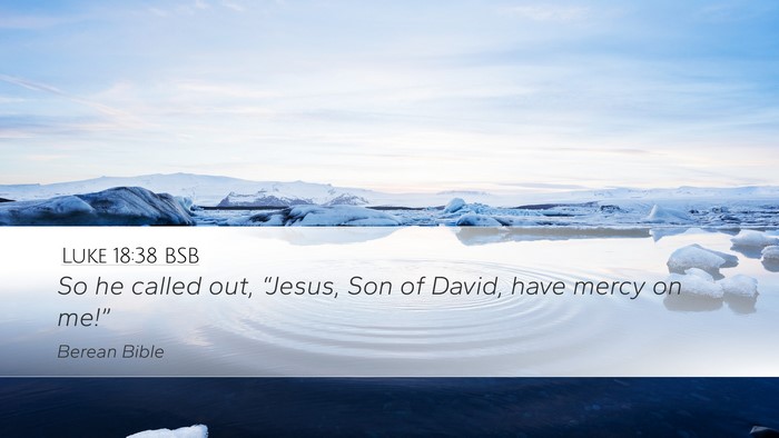 Luke 18:38 BSB Bible Verse Image