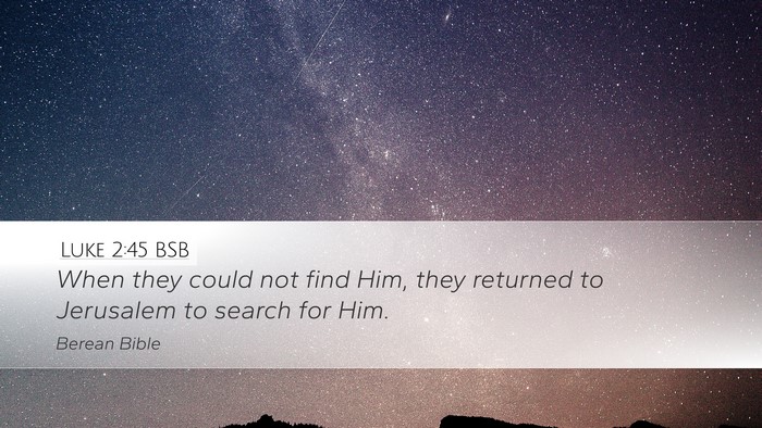 Luke 2:45 BSB Desktop Wallpaper - When they could not find Him, they returned to - Desktop Bible Verse Wallpaper