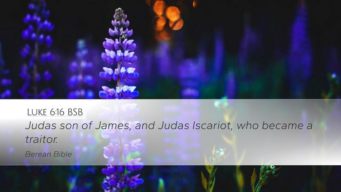 Luke 6:16 BSB Bible Verse Image