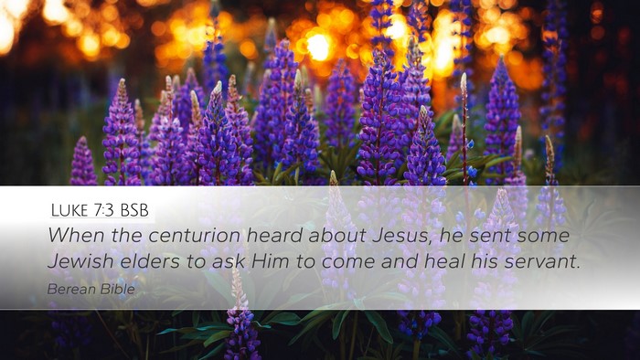Luke 7:3 BSB Bible Verse Image