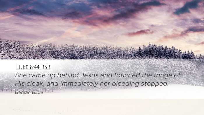 Luke 8:44 BSB Bible Verse Image