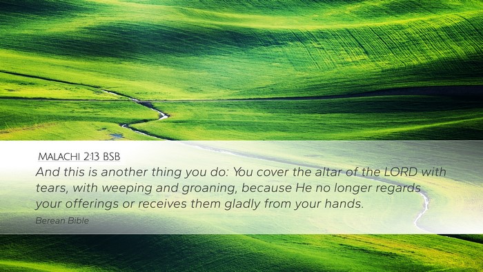 Malachi 2:13 BSB Bible Verse Image