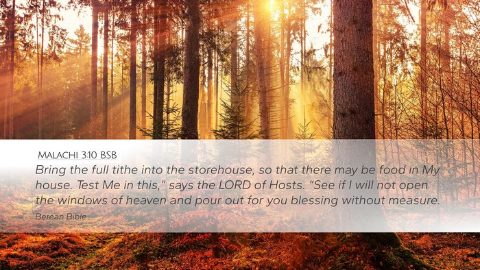 Malachi 3:10 BSB Bible Verse Image