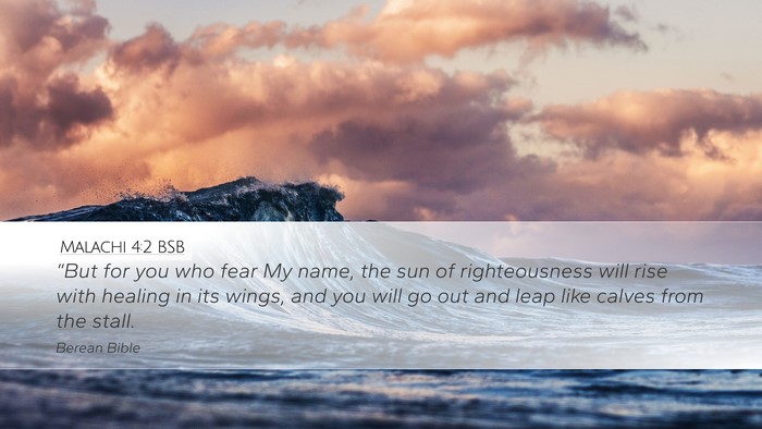 Malachi 4:2 BSB Bible Verse Image