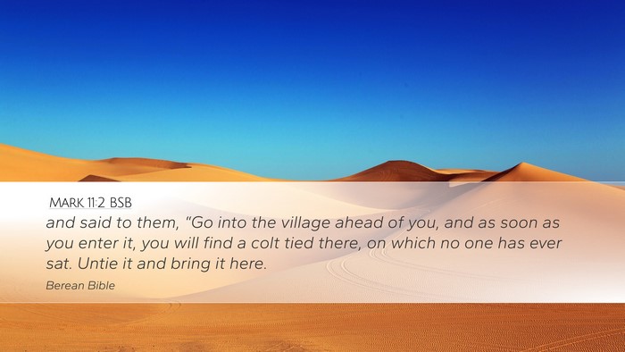 Mark 11:2 BSB Bible Verse Image